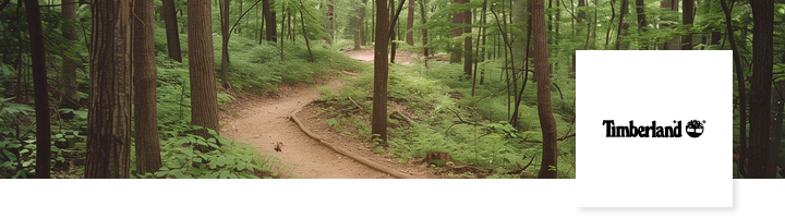 timberland schuhe header